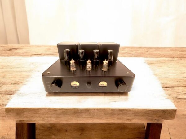 AMT 100 - Image 2